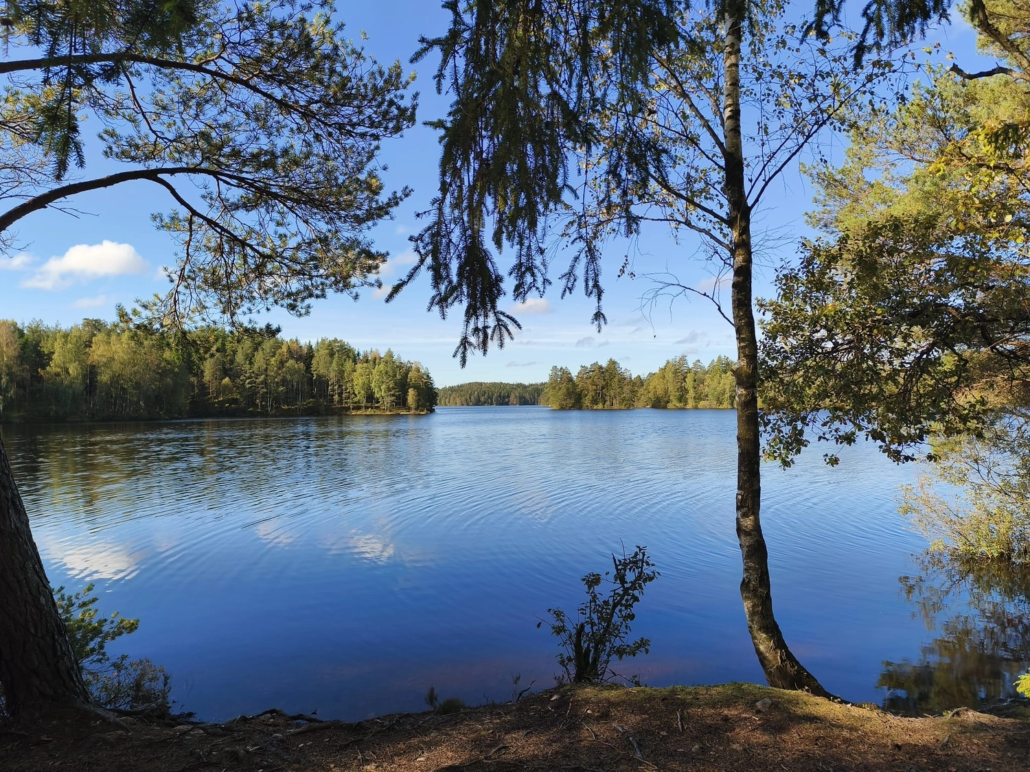 Schwedenhaus – Bauberatung & Vertrieb